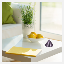 Load image into Gallery viewer, CMO Family Pack EMF Radiation Protection
