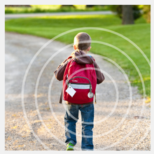 Load image into Gallery viewer, CMO Family Pack XL EMF Radiation Protection